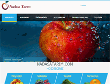 Tablet Screenshot of nadasatarim.com